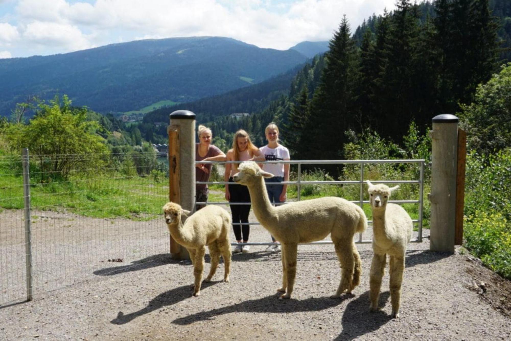 Vitalhof Am Kreischberg By Alps Resorts Bodendorf  Ngoại thất bức ảnh